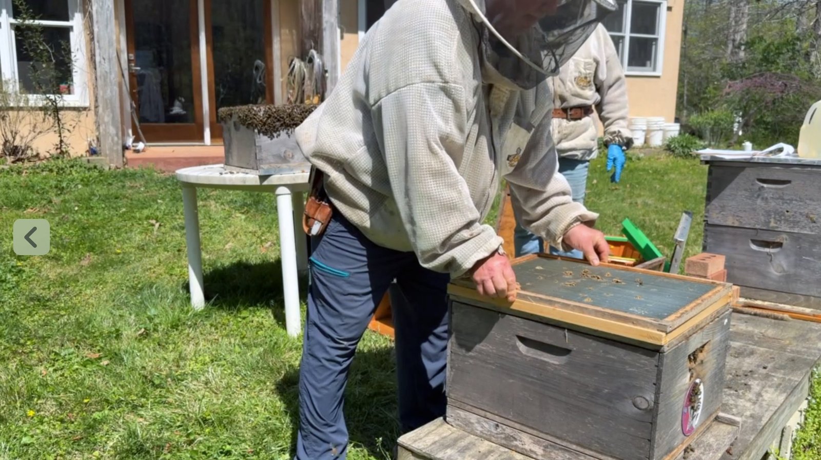 Setting the Cloake board in place between the lower deep and the cell builder box on a Frosty Meadow hive